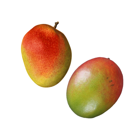 Naturally Organic Mangoes Kg