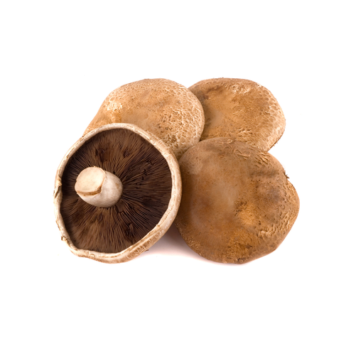 Portobello Mushrooms