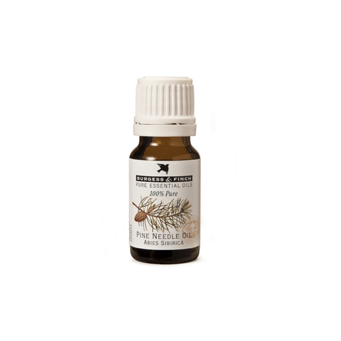 Burgess & Finch Pine Oil | 10ml