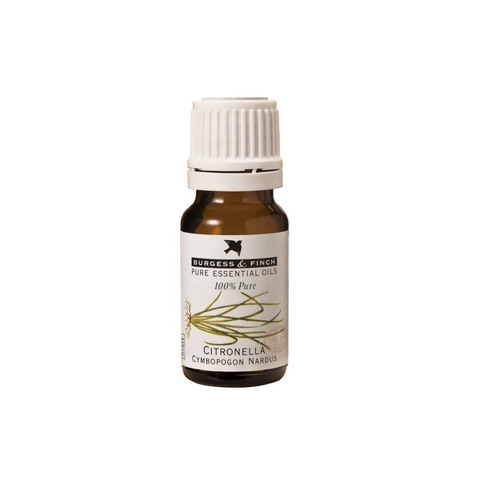 Burgess & Finch Citronella Oil | 10ml