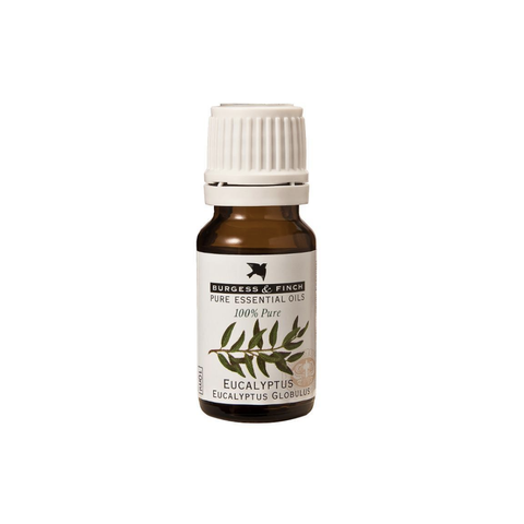 Burgess & Finch Eucalyptus Oil | 10ml