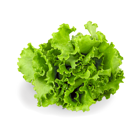 Naturally Organic Butter Lettuce