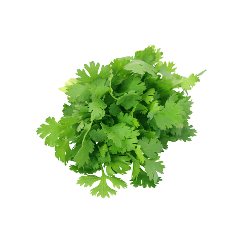 Naturally Organic Coriander Packet