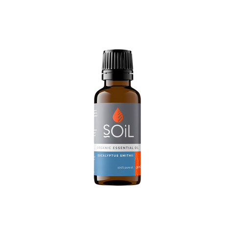 SOIL Organic Eucalyptus Smithii 30ml