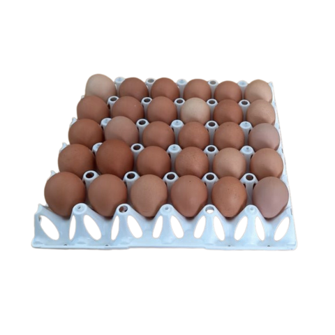 Eggs & Dairy