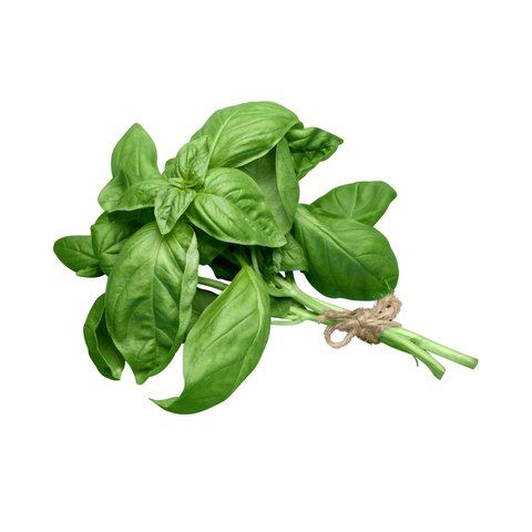 Naturally Organic Fresh Basil | 30g