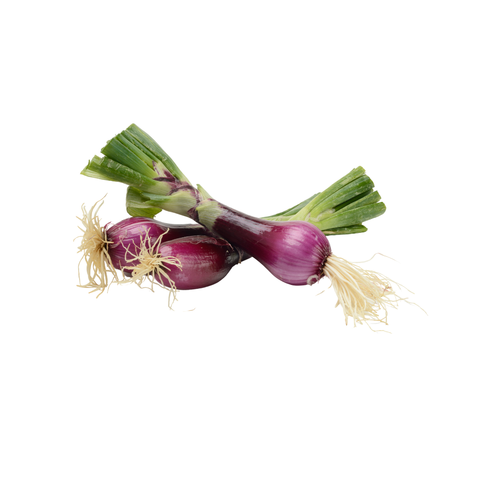 Naturally Organic Red Spring onion