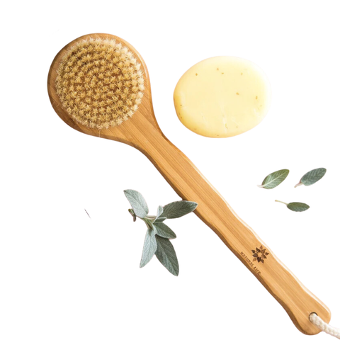 Natural Life Body Brush