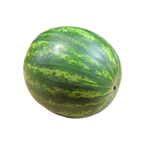 Naturally Organic Watermelon Medium