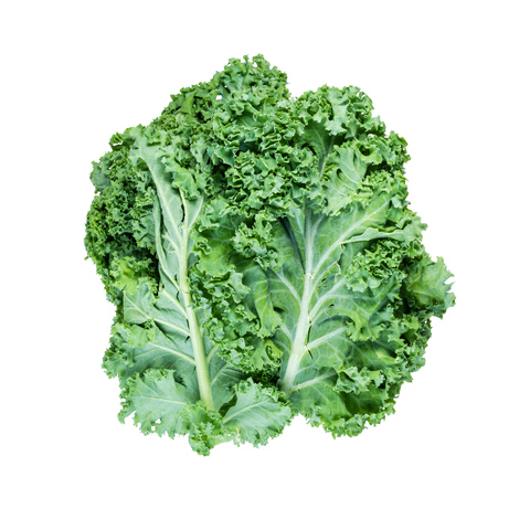Farm Fresh Curly Kale | Bunch