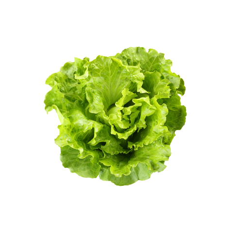 Farm Fresh Fancy Lettuce | Bunch