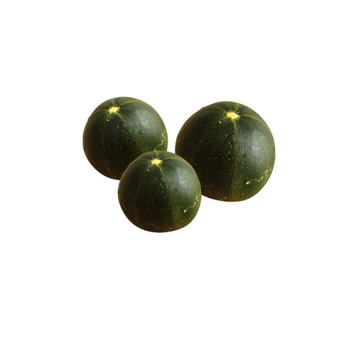 Farm Fresh Gem Squash / KG