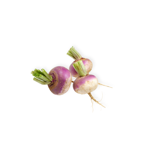 Farm Fresh Turnips | Bunch