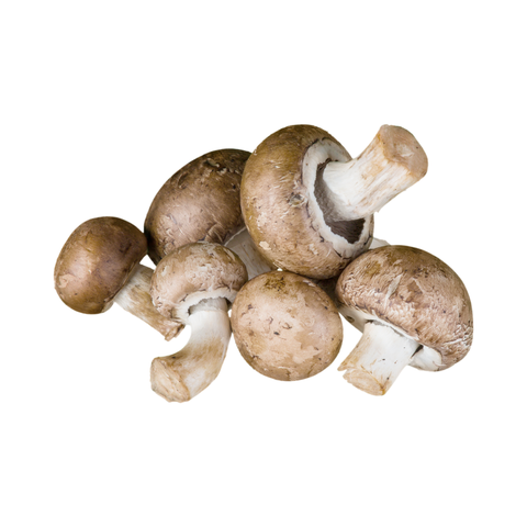 Portobellini Mushrooms