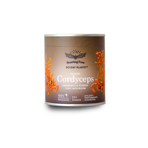 Superfoods Cordyceps Mushroom Powder | 77g