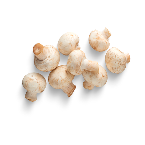 White Button Mushrooms