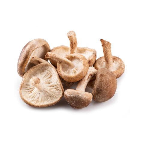 Shiitake Mushrooms / KG