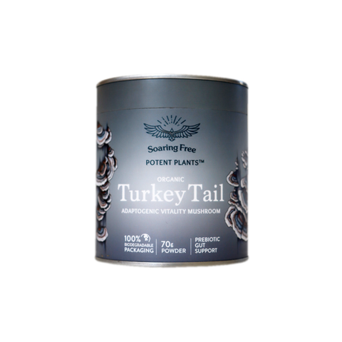 Superfoods Turkey Tail Powder | 70g